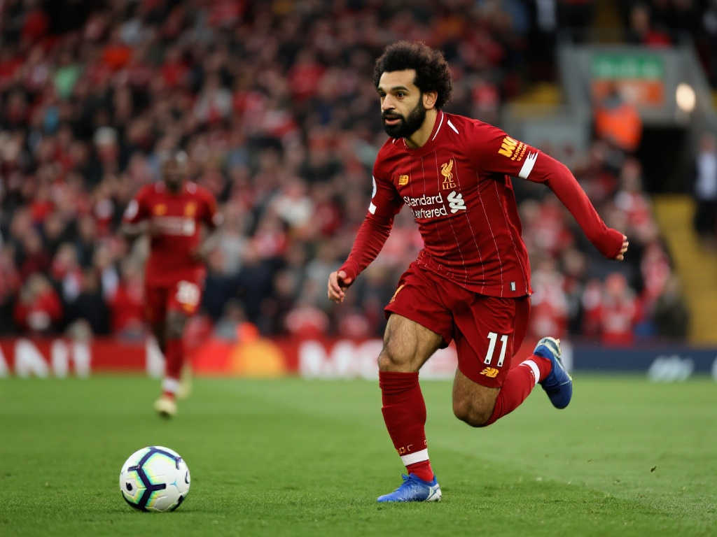 世界杯买球中心